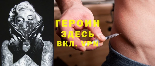 прущие грибы Вязьма