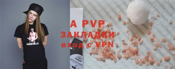 прущие грибы Вязьма