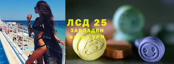 прущие грибы Вязьма