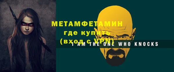 прущие грибы Вязьма