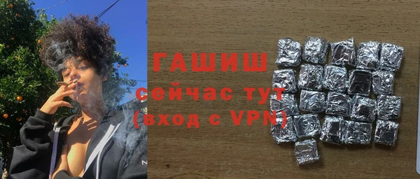прущие грибы Вязьма