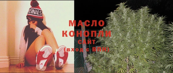 прущие грибы Вязьма