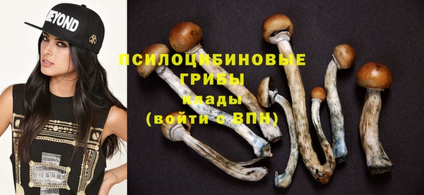 МДПВ Козловка